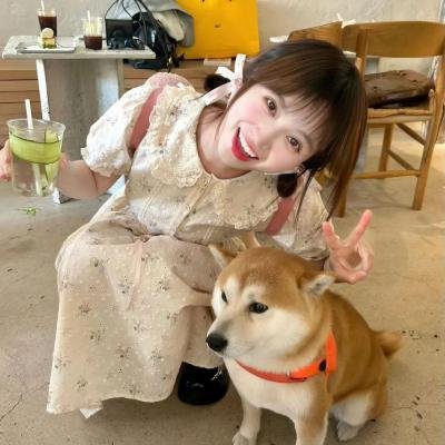 魔法总动员